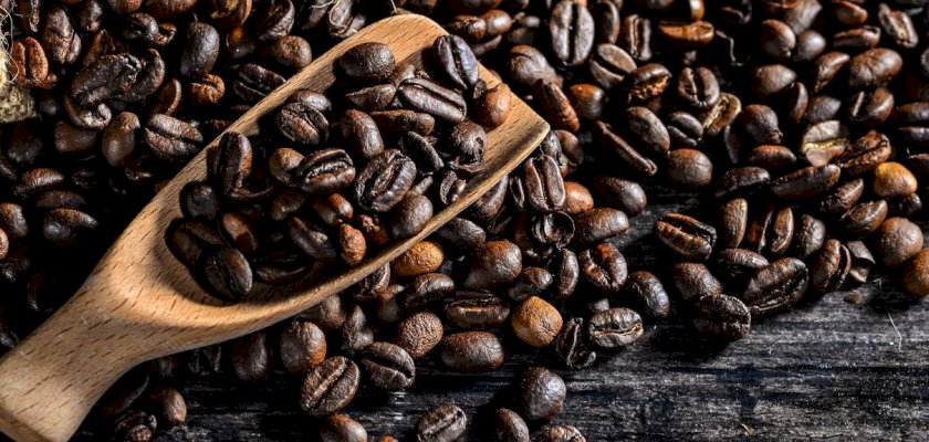 How to choose best coffee beans?